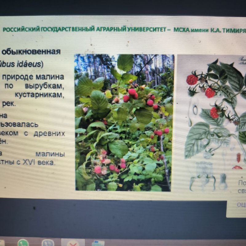 photo_2024-03-26_17-32-30